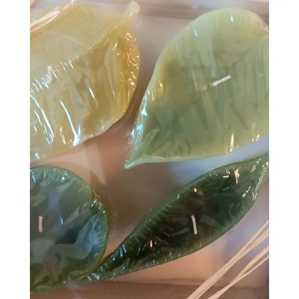 Pottery Barn Green Tropical Leaf Candles Set of Four New In Box Spring Summer